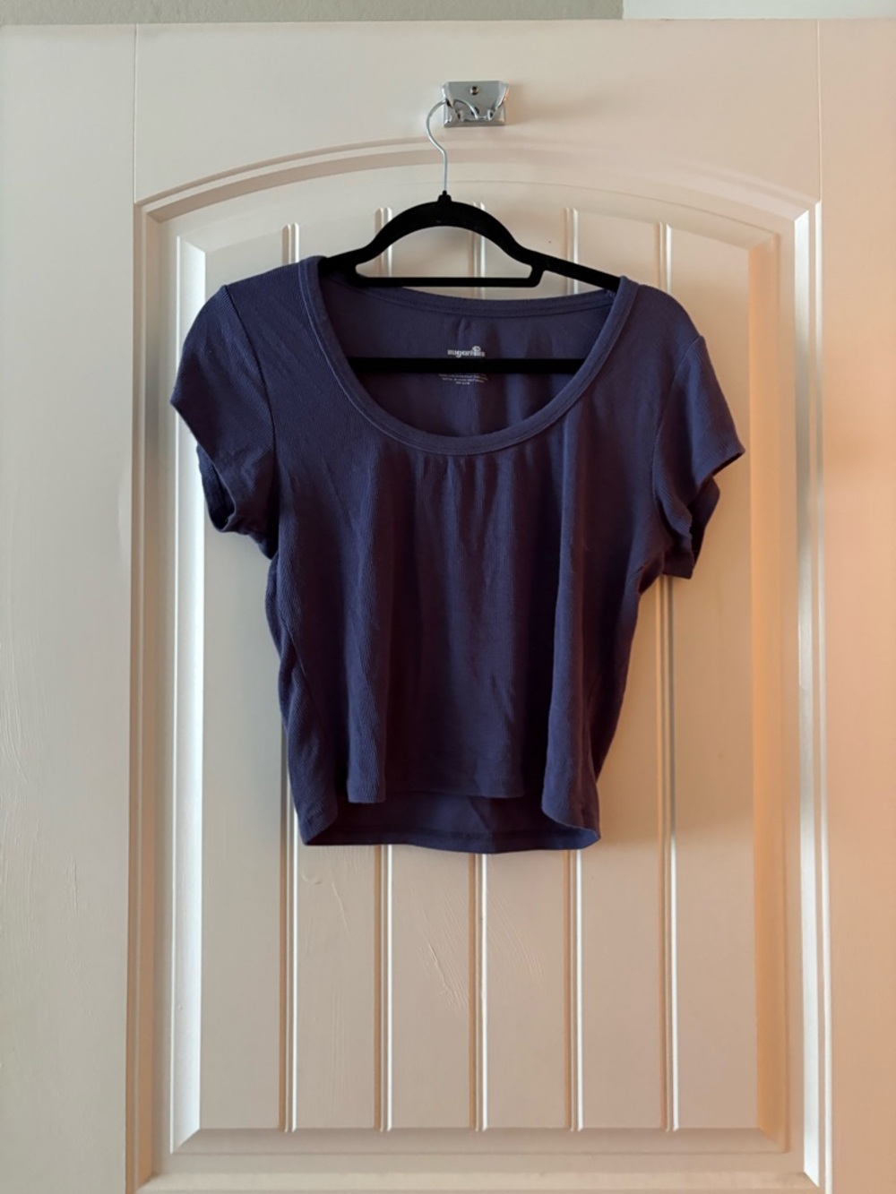Sugarlips Plum Scoop Neck Short Sleeve Crop Top